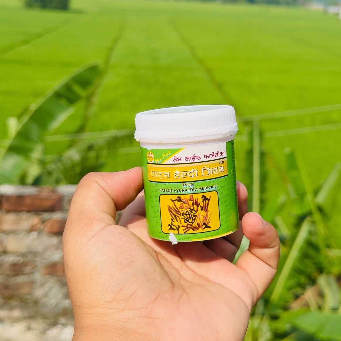 Parash Healthy Jiwan Capsules - Boost Weight Naturally (60 Capsules)