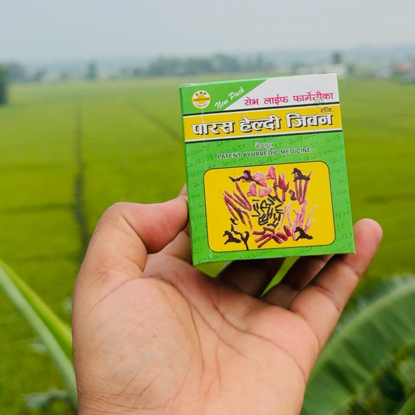 Parash Healthy Jiwan Capsules - Boost Weight Naturally (60 Capsules)